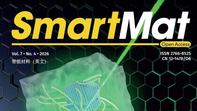 课题组综述论文被《SmartMat》接收